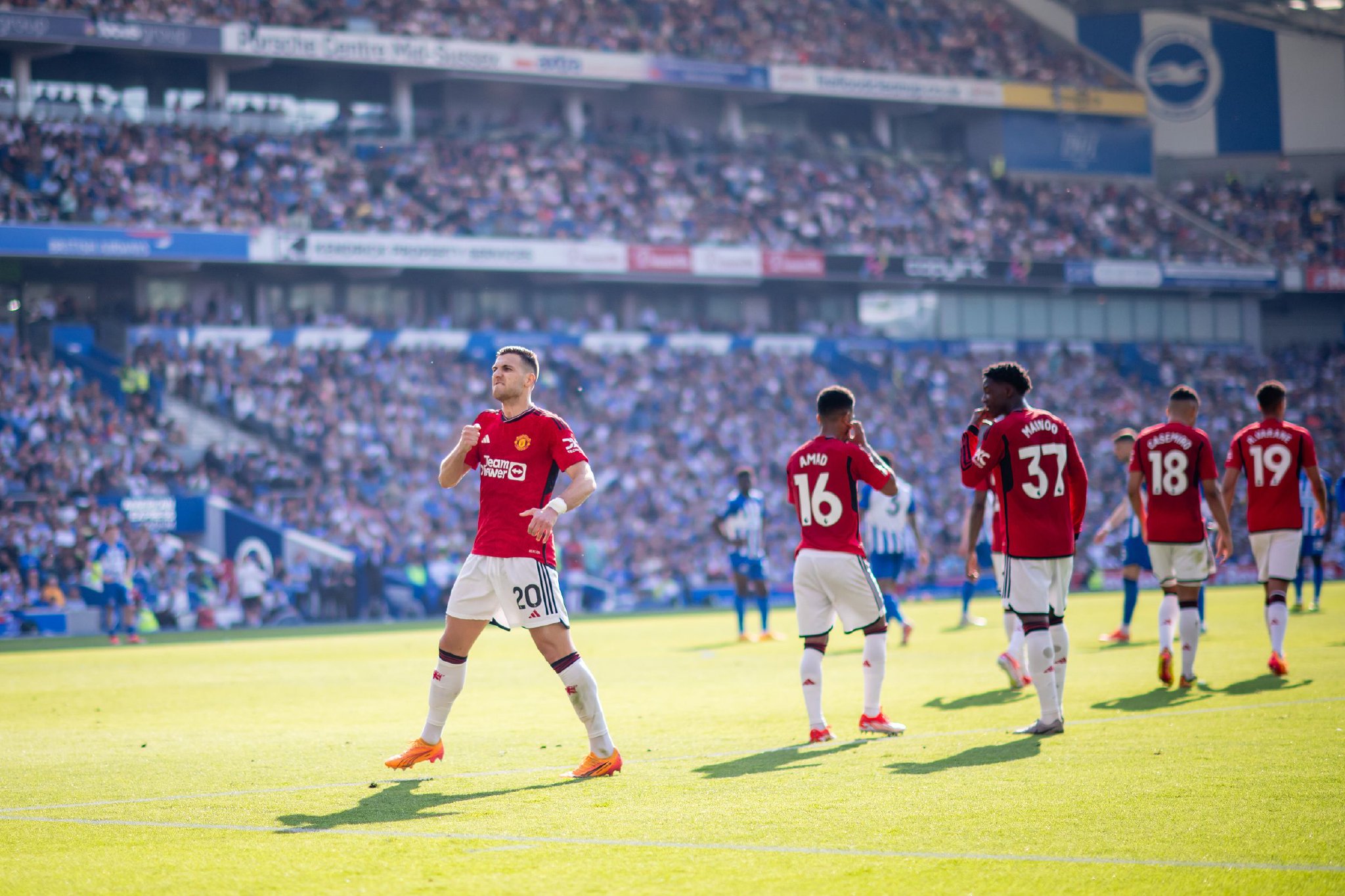 分析樊振东 分析樊振东