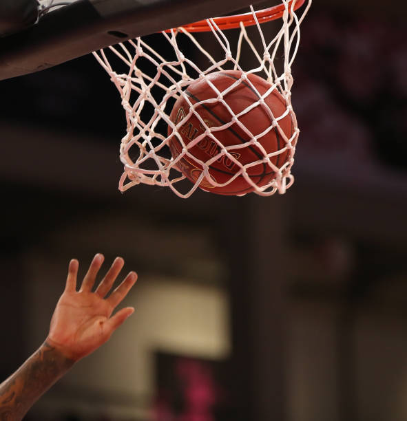 他们赢得了 他们赢得了